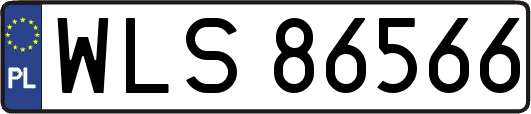 WLS86566