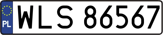 WLS86567