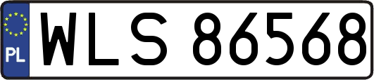 WLS86568