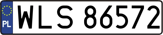 WLS86572