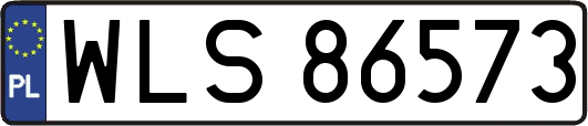 WLS86573