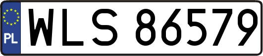 WLS86579