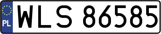 WLS86585