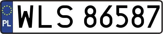 WLS86587