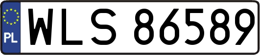 WLS86589