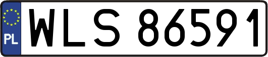 WLS86591