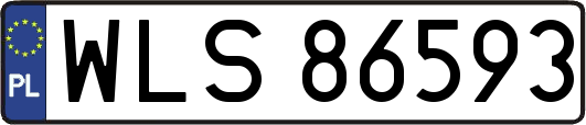 WLS86593