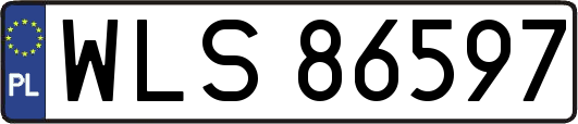 WLS86597