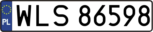 WLS86598