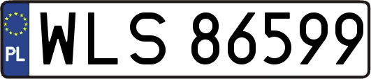 WLS86599