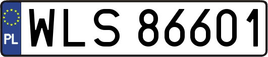WLS86601