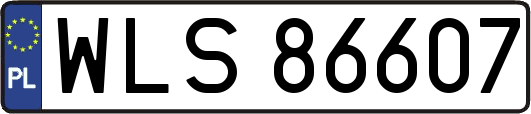 WLS86607