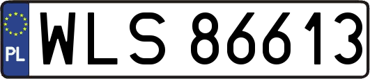 WLS86613