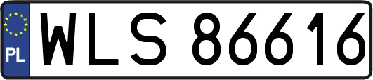 WLS86616