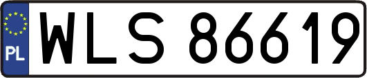 WLS86619