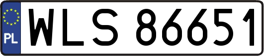 WLS86651