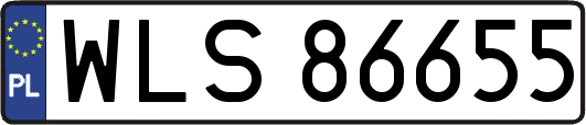 WLS86655