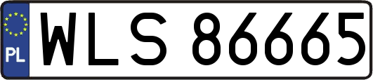 WLS86665