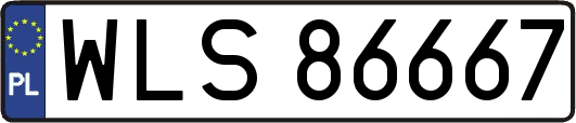 WLS86667