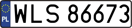 WLS86673