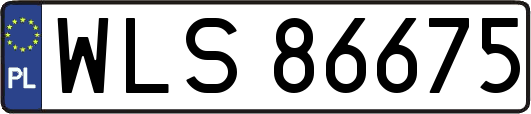 WLS86675