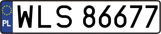 WLS86677
