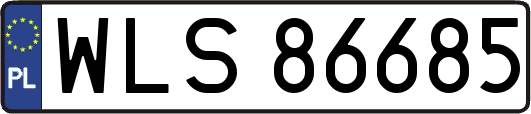 WLS86685
