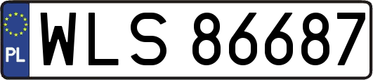 WLS86687