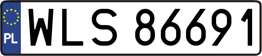 WLS86691
