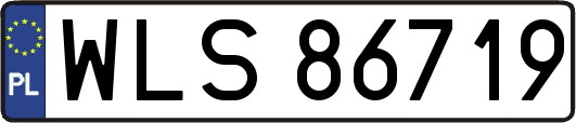 WLS86719