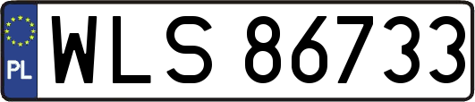 WLS86733