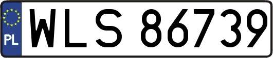 WLS86739