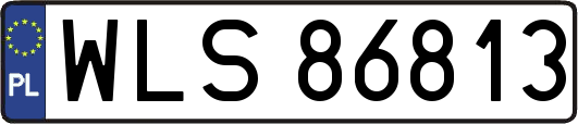 WLS86813