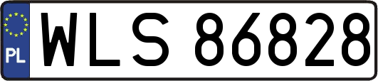 WLS86828
