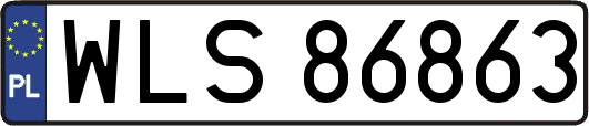 WLS86863