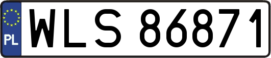 WLS86871
