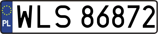 WLS86872