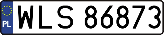 WLS86873