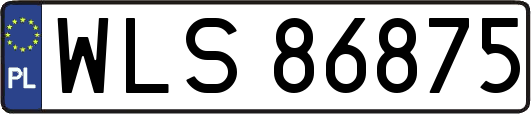 WLS86875