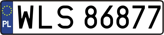 WLS86877