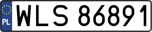 WLS86891