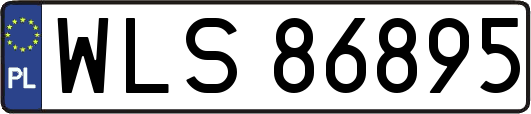 WLS86895