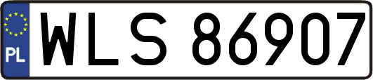 WLS86907
