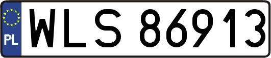WLS86913