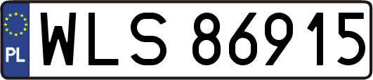 WLS86915