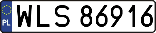 WLS86916