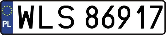 WLS86917