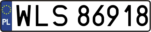 WLS86918