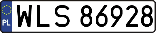 WLS86928