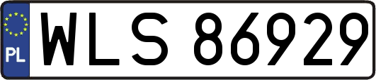 WLS86929